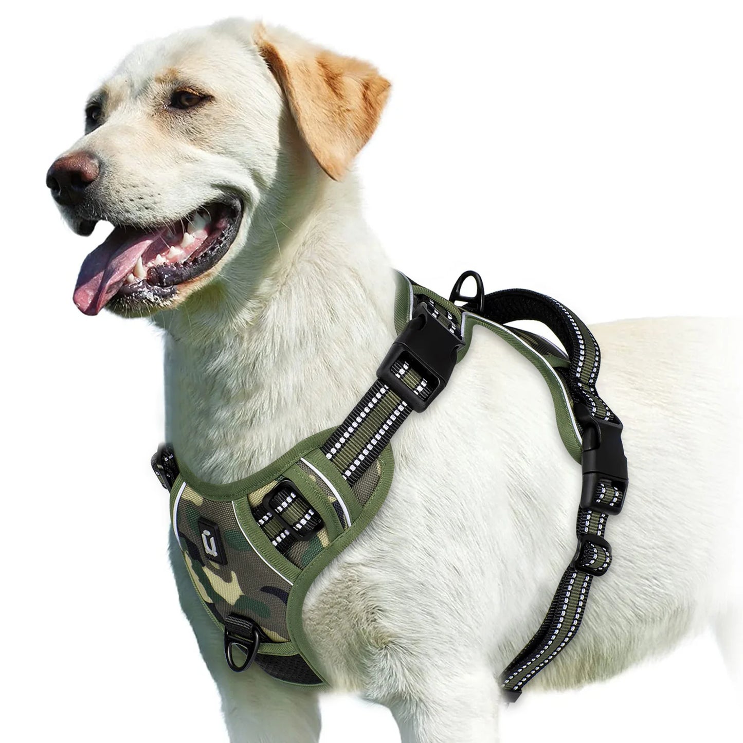 The Comfort Harness — Walks Without The Pulling