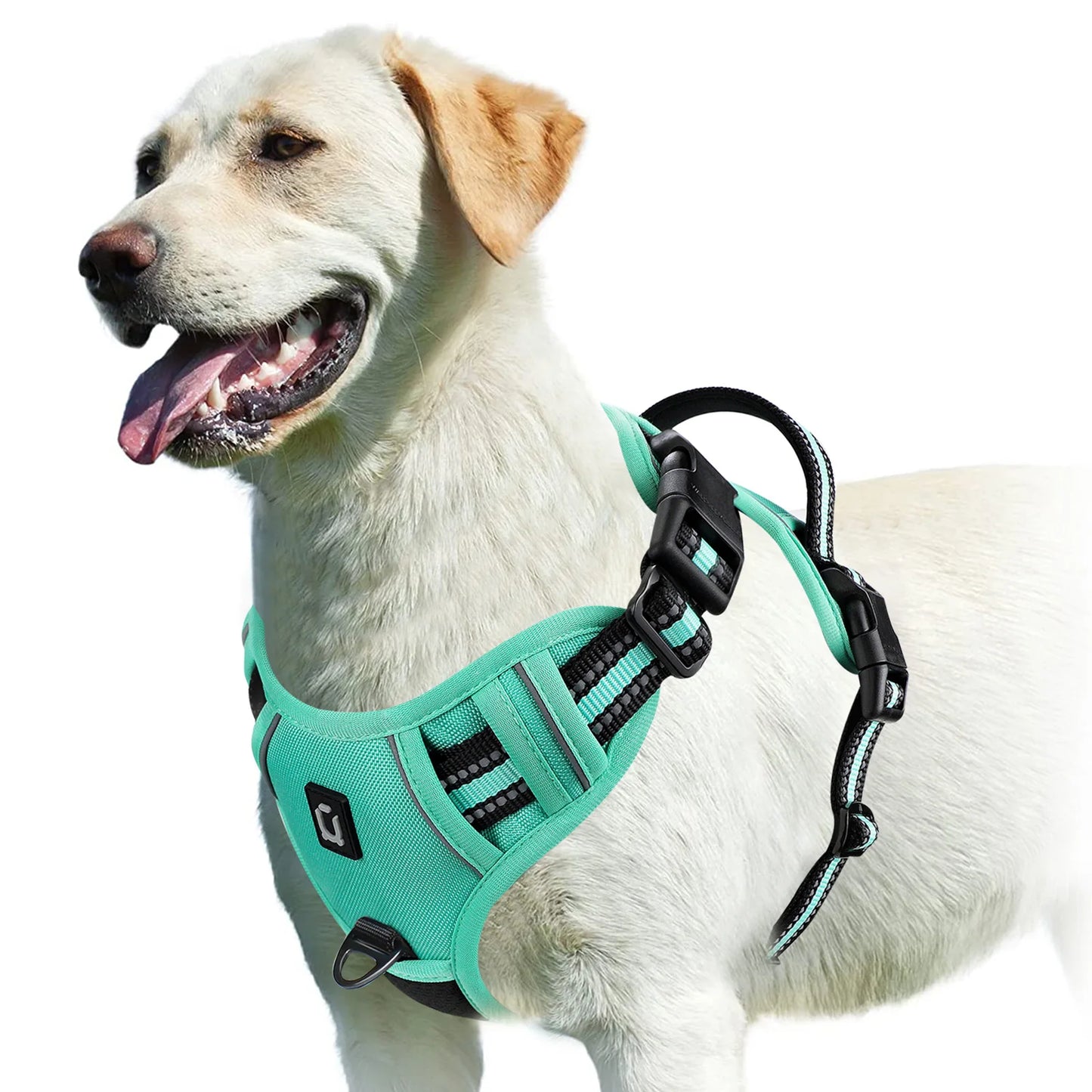 The Comfort Harness — Walks Without The Pulling