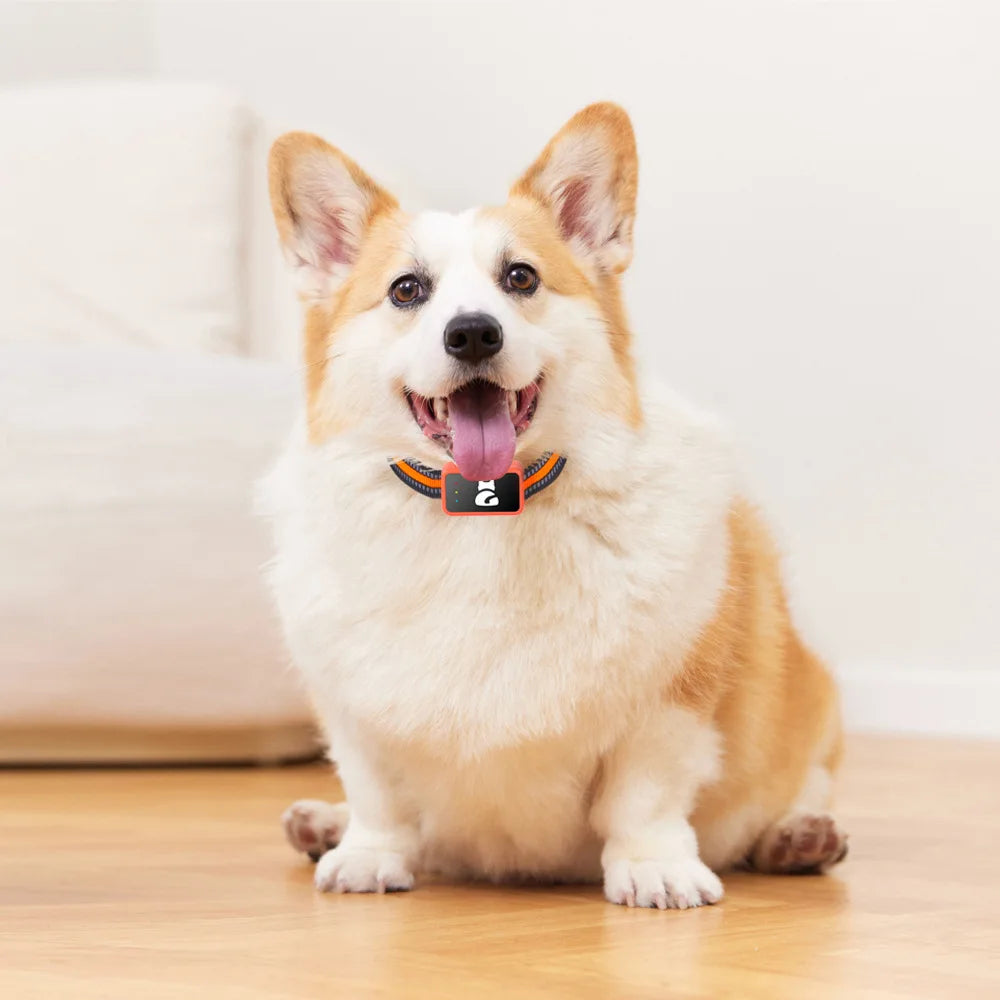 PawTracker — Never Lose Your Pet Again