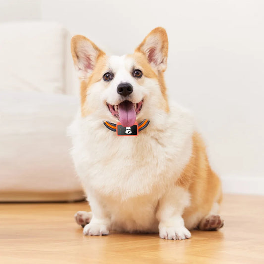 PawTracker — Never Lose Your Pet Again