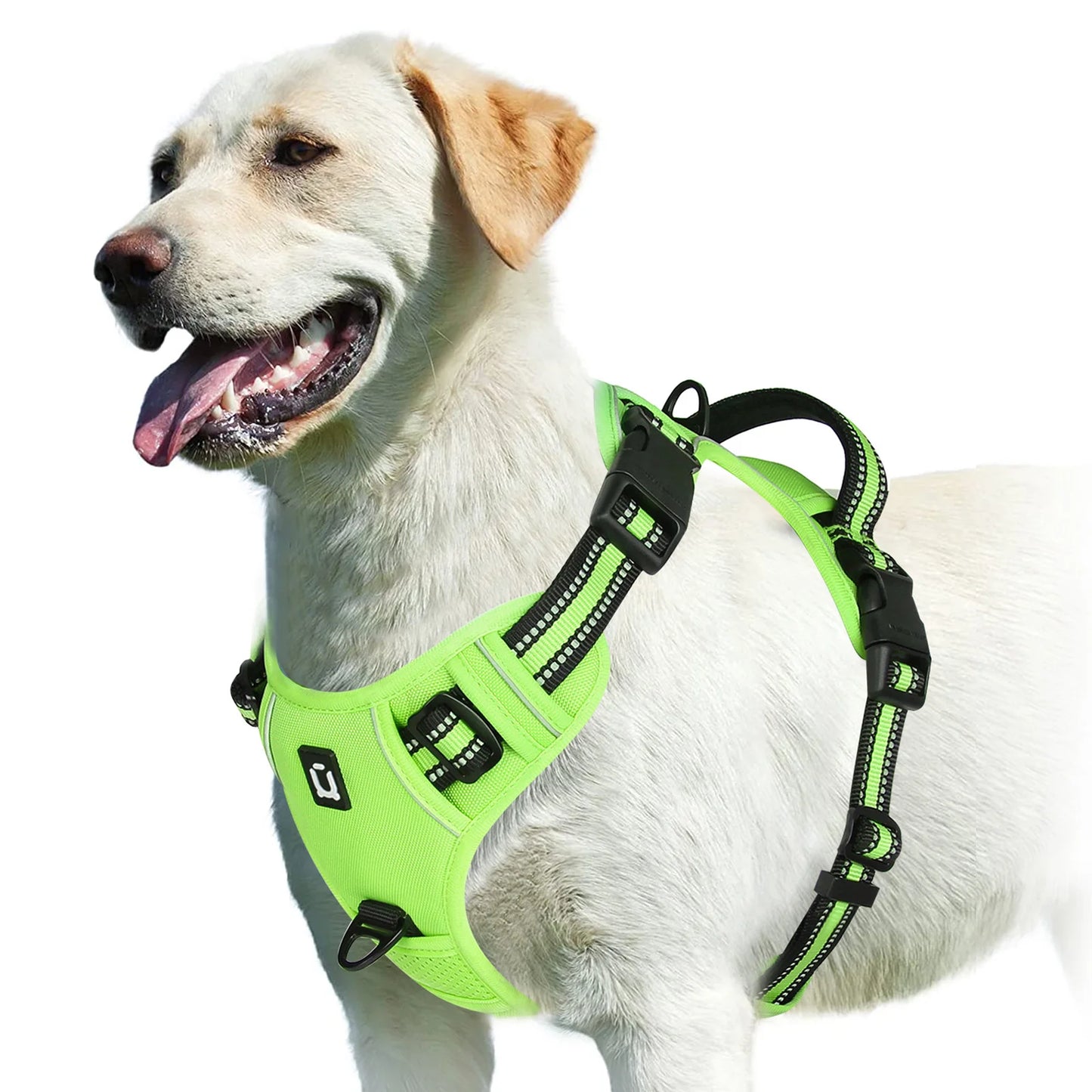 The Comfort Harness — Walks Without The Pulling