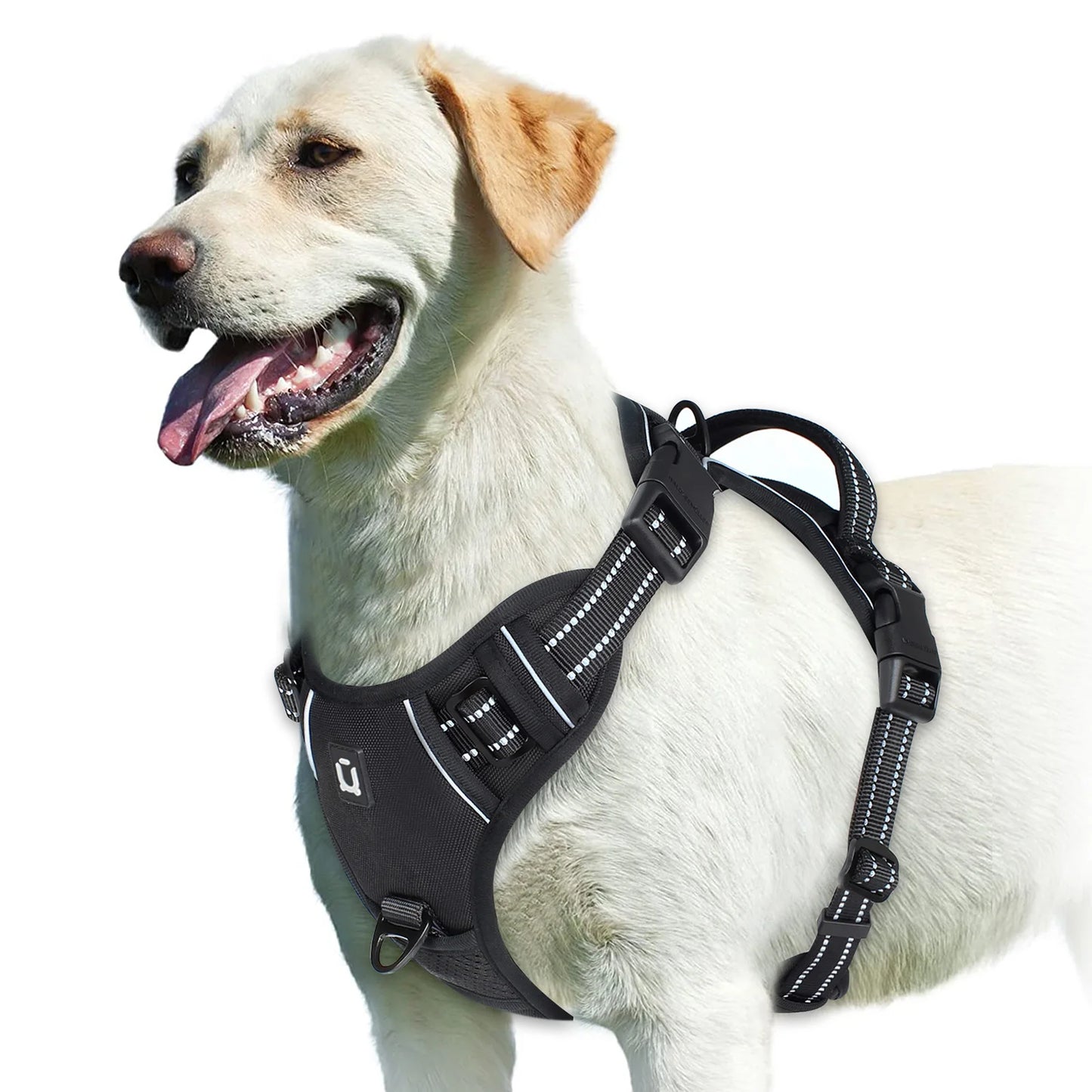 The Comfort Harness — Walks Without The Pulling