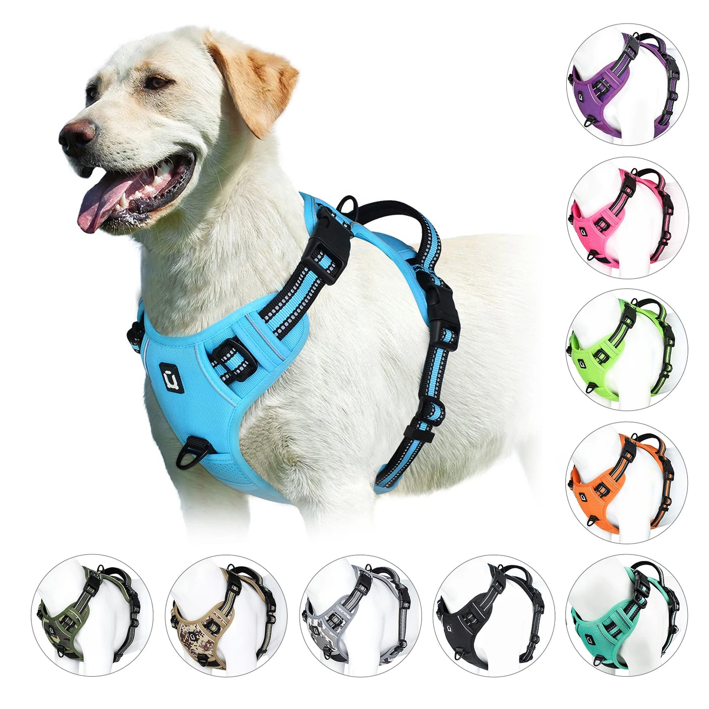 The Comfort Harness — Walks Without The Pulling